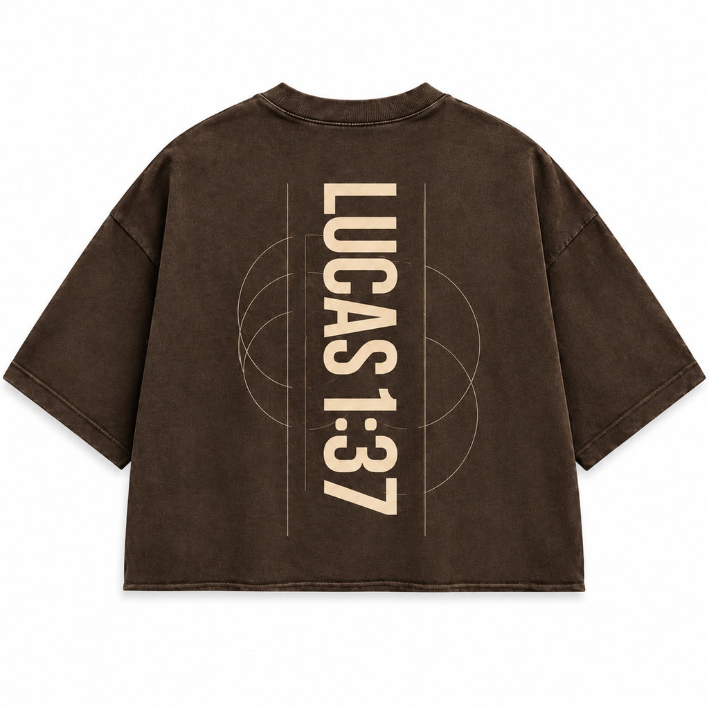 Back of the Kokii Style Lucas 1:37 men's oversized crop tee in washed brown with large vertical LUCAS 1:37 cream print and line-art circles